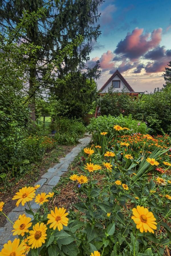 Ferienwohnung Fanima Vendeghaz Verőcemaros Exterior foto